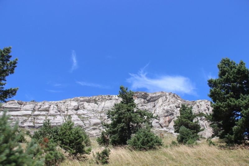 Две недели на ЮБК конец июля - начало августа 2014 или (Ялта - город счастья)