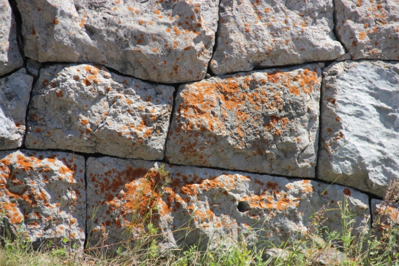 Две недели на ЮБК конец июля - начало августа 2014 или (Ялта - город счастья)