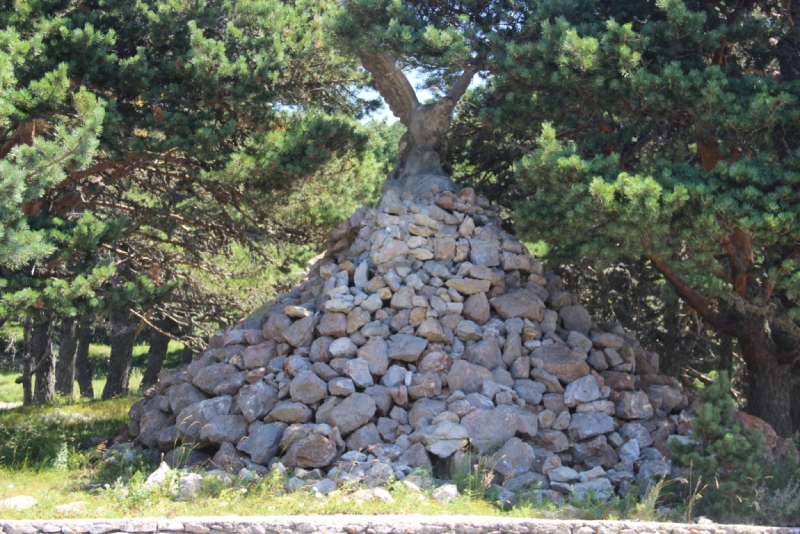 Две недели на ЮБК конец июля - начало августа 2014 или (Ялта - город счастья)