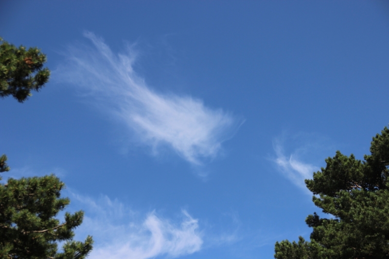 Две недели на ЮБК конец июля - начало августа 2014 или (Ялта - город счастья)