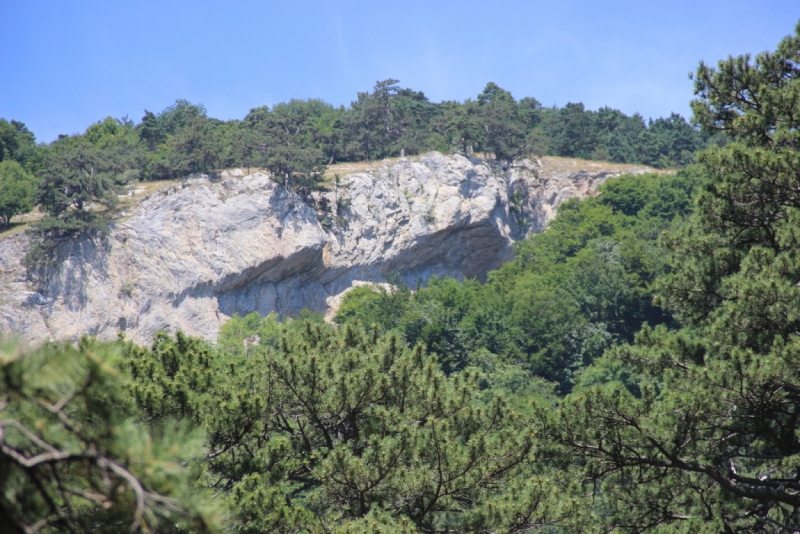 Две недели на ЮБК конец июля - начало августа 2014 или (Ялта - город счастья)