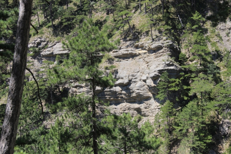 Две недели на ЮБК конец июля - начало августа 2014 или (Ялта - город счастья)