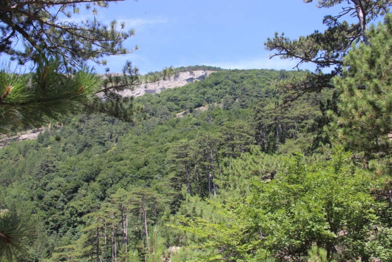 Две недели на ЮБК конец июля - начало августа 2014 или (Ялта - город счастья)