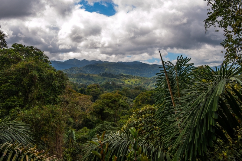 Коста Рика. Часть 2