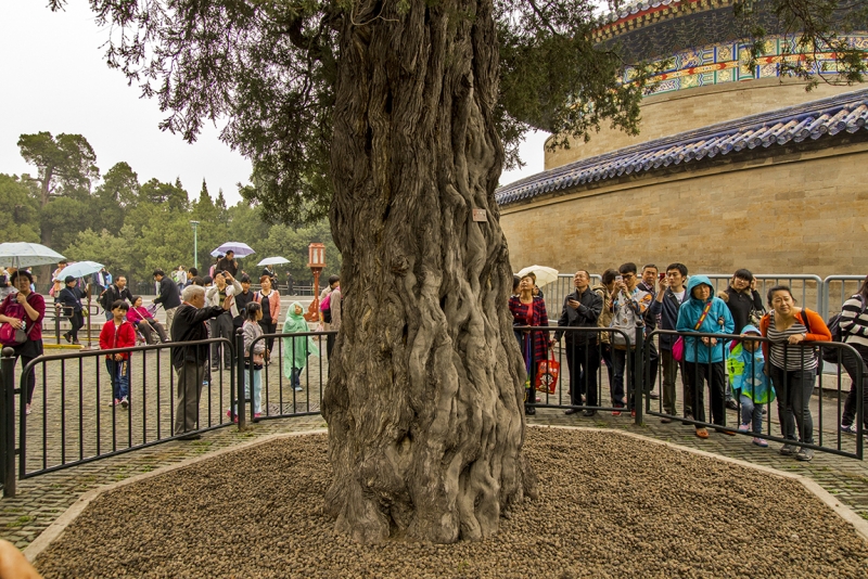 Пекин-Гуанчжоу-Гонконг октябрь 2014