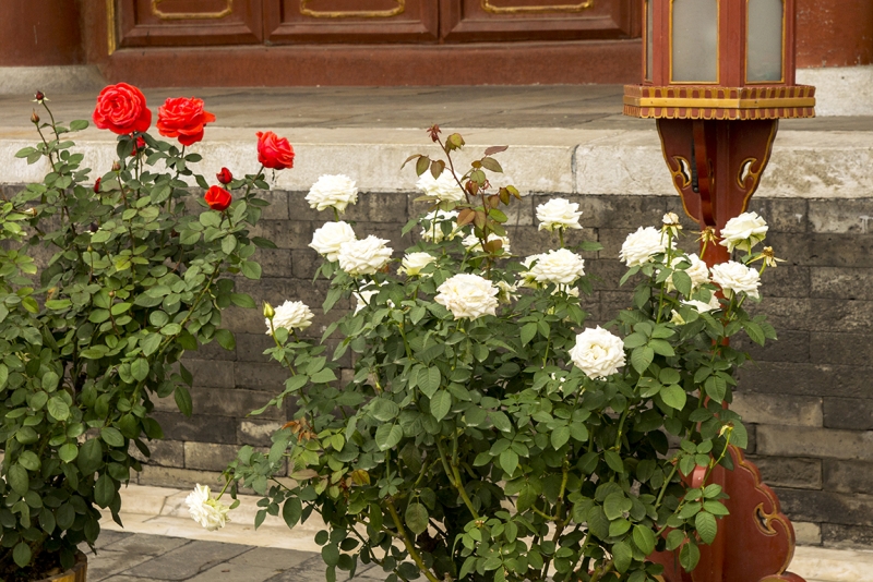 Пекин-Гуанчжоу-Гонконг октябрь 2014