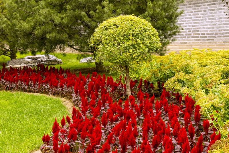 Пекин-Гуанчжоу-Гонконг октябрь 2014