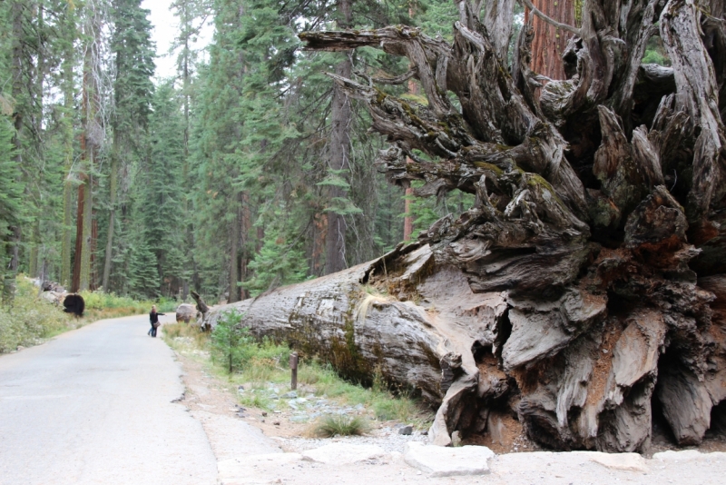 Наши две недели на юго-западе США