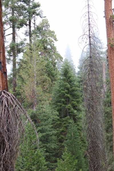 Наши две недели на юго-западе США