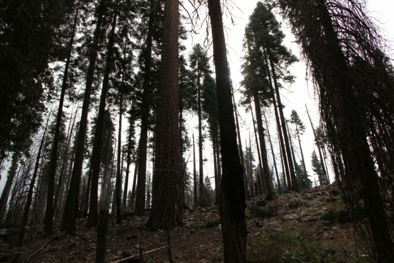 Наши две недели на юго-западе США