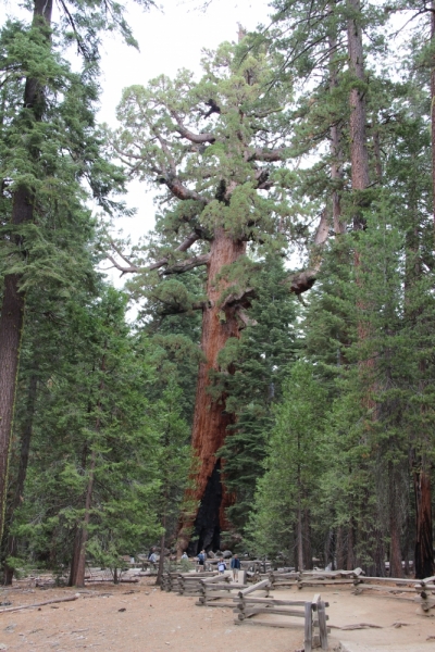 Наши две недели на юго-западе США