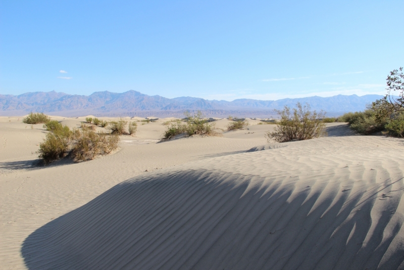 Наши две недели на юго-западе США