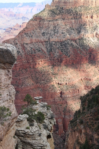 Наши две недели на юго-западе США