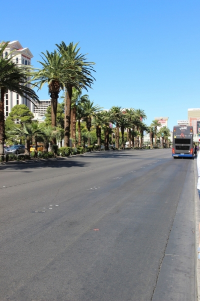 Наши две недели на юго-западе США