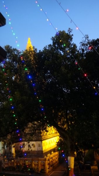 Экспресс-путешествие по северу Индии и Непалу (октябрь 2014)