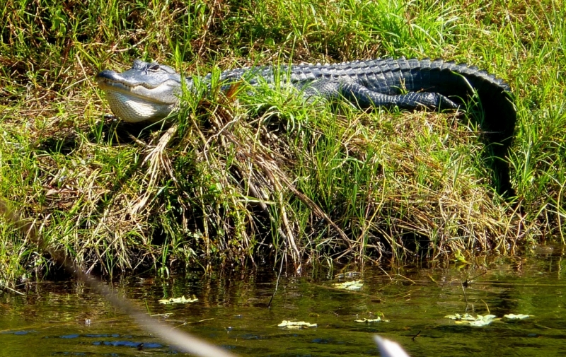 Как я купил мотоцикл в Бриджпорте, и проехал на нём по Америке.