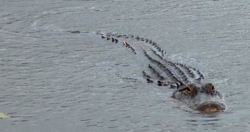 Как я купил мотоцикл в Бриджпорте, и проехал на нём по Америке.