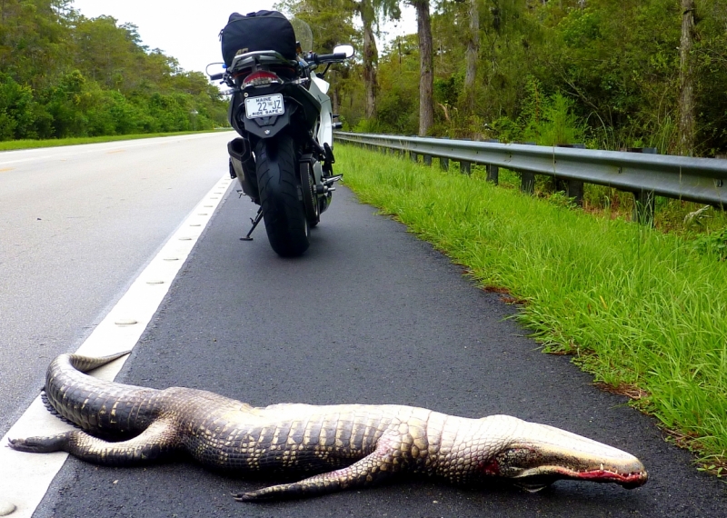 Как я купил мотоцикл в Бриджпорте, и проехал на нём по Америке.