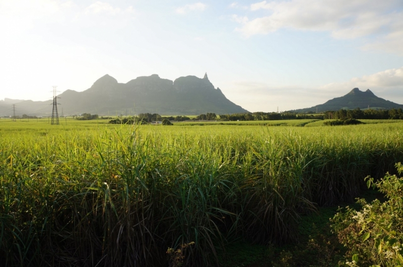 Маврикий. Май 2014.