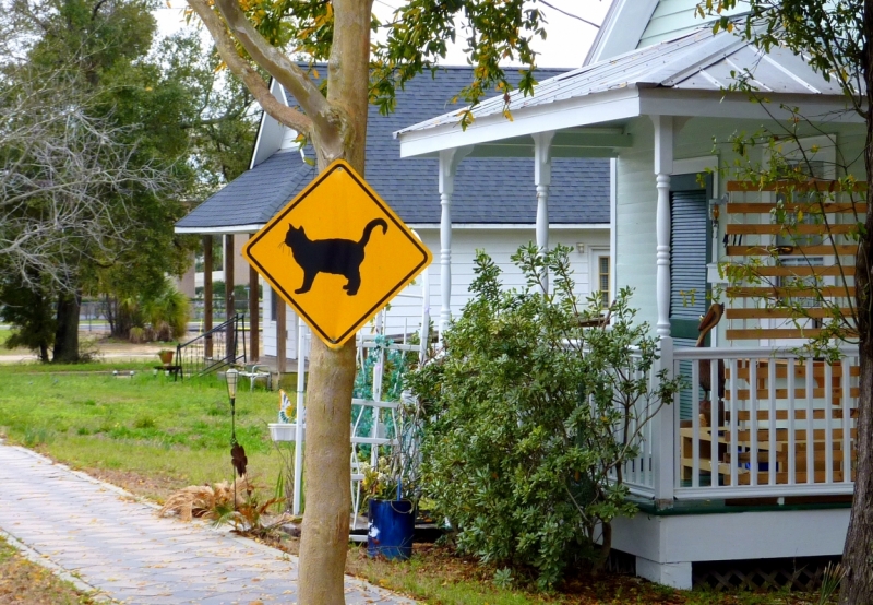 Как я купил мотоцикл в Бриджпорте, и проехал на нём по Америке.