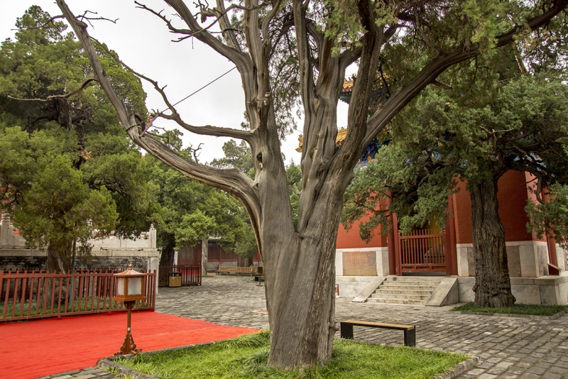 Пекин-Гуанчжоу-Гонконг октябрь 2014