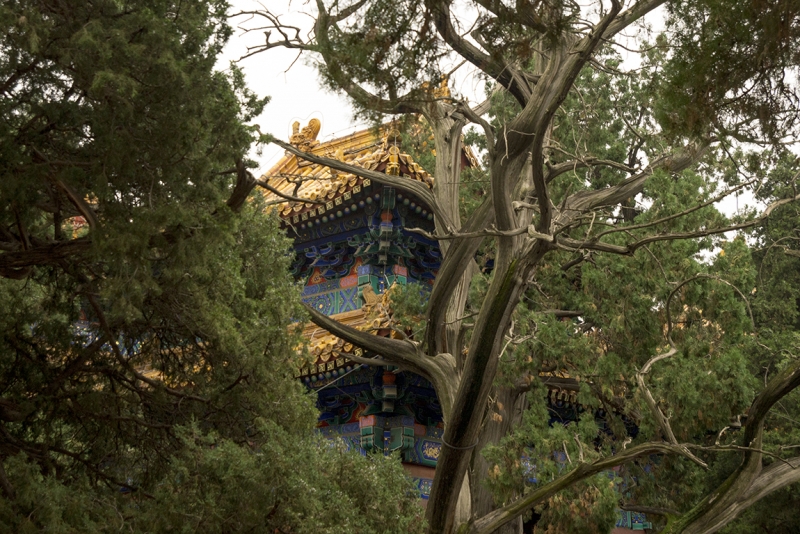 Пекин-Гуанчжоу-Гонконг октябрь 2014