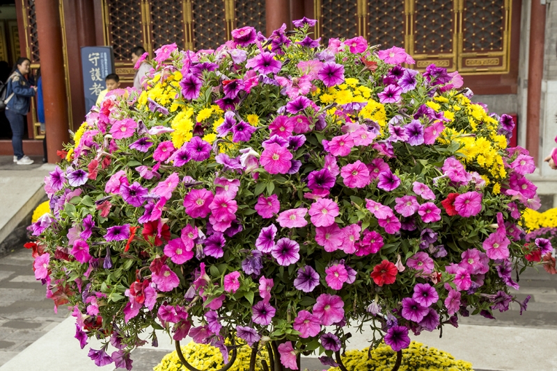 Пекин-Гуанчжоу-Гонконг октябрь 2014