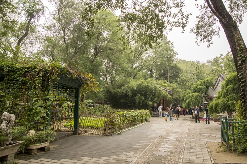 Пекин-Гуанчжоу-Гонконг октябрь 2014