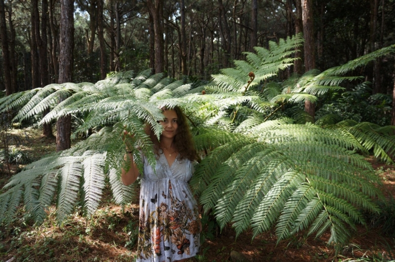 Маврикий. Май 2014.