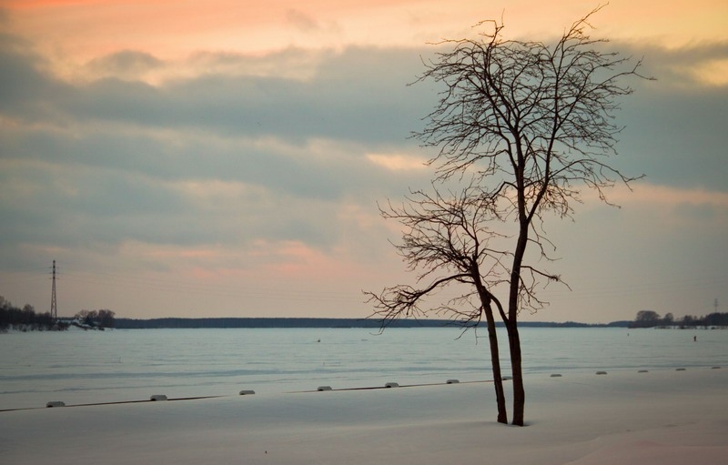 Золотое кольцо отзывы туристов