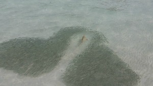 Vilamendhoo+Fihalhohi Barefoot holiday Oct2014