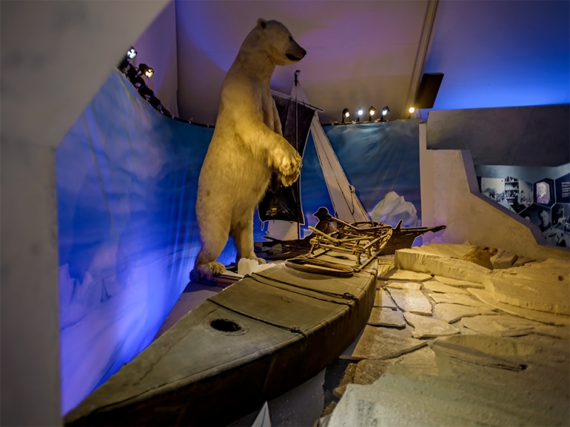 Норвегия 2014. По заветам Суворова: Глазомер, Быстрота и Натиск.