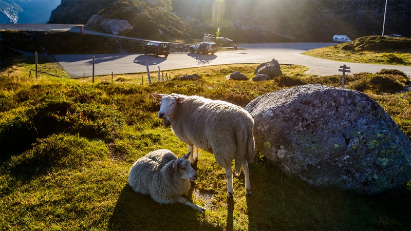 Норвегия 2014. По заветам Суворова: Глазомер, Быстрота и Натиск.
