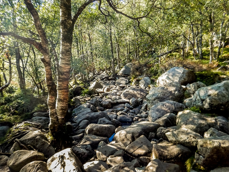 Норвегия 2014. По заветам Суворова: Глазомер, Быстрота и Натиск.