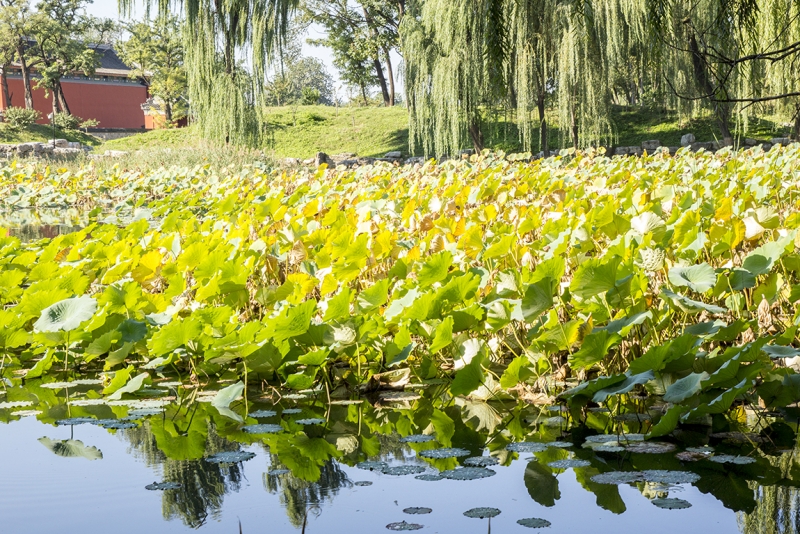 Пекин-Гуанчжоу-Гонконг октябрь 2014