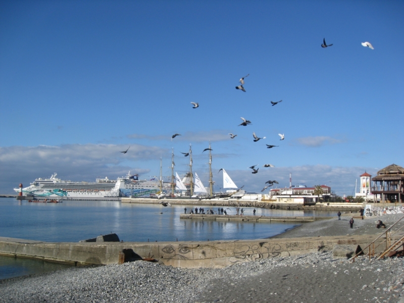 Шесть пятиколечных дней или история одной семьи на одной Олимпиаде