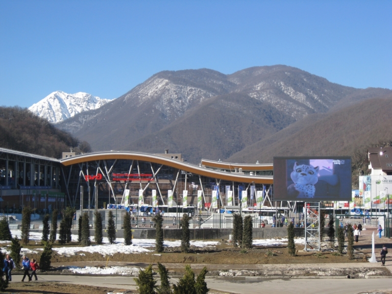 Шесть пятиколечных дней или история одной семьи на одной Олимпиаде
