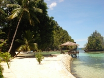 Незапланированная кругосветка онлайн: Азия