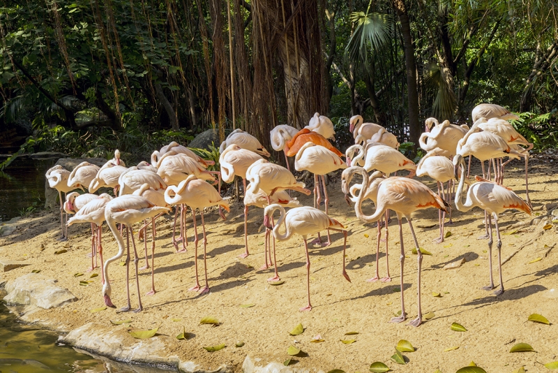 Пекин-Гуанчжоу-Гонконг октябрь 2014