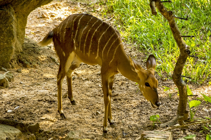 Пекин-Гуанчжоу-Гонконг октябрь 2014