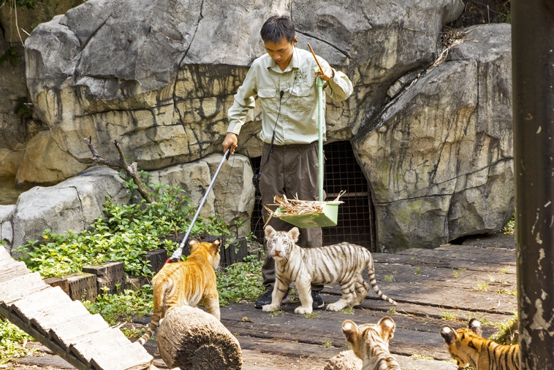 Пекин-Гуанчжоу-Гонконг октябрь 2014