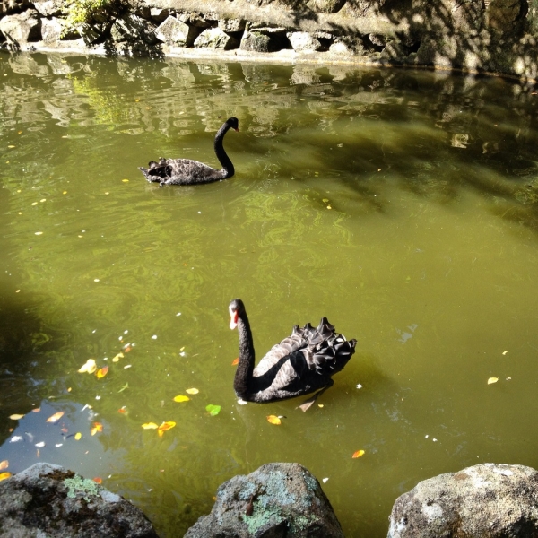 Как урвать кусочек лета осенью (за неделю от Лиссабона до Алгарве)