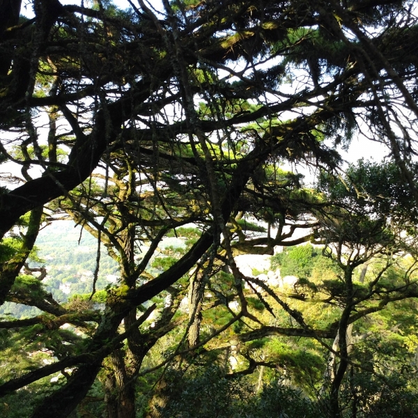 Как урвать кусочек лета осенью (за неделю от Лиссабона до Алгарве)