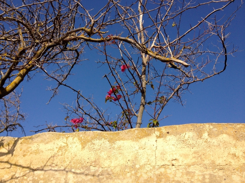 Как урвать кусочек лета осенью (за неделю от Лиссабона до Алгарве)