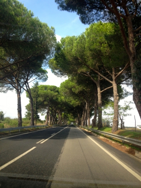 Как урвать кусочек лета осенью (за неделю от Лиссабона до Алгарве)