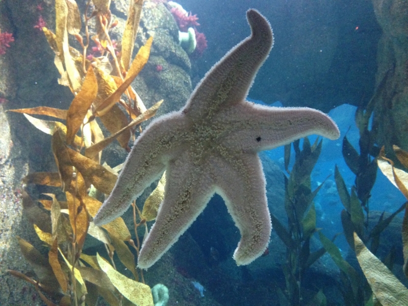 Как урвать кусочек лета осенью (за неделю от Лиссабона до Алгарве)