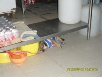 SAM_1801_новый размер.JPG