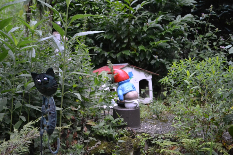 По Европе в Августе.