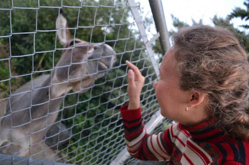 По Европе в Августе.