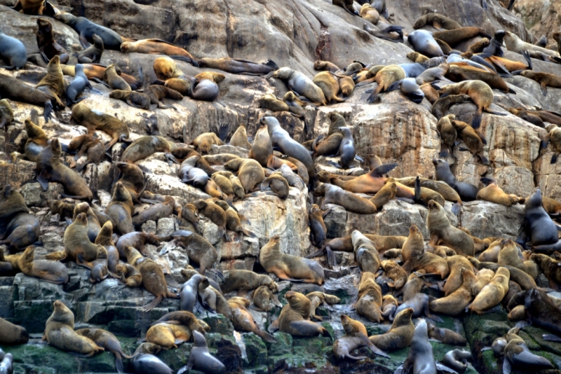 Инки, горы...и картошка. 16 дней в Перу.